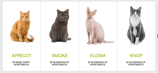 Screen Shot 2014-09-01 at 11.20.04 AM