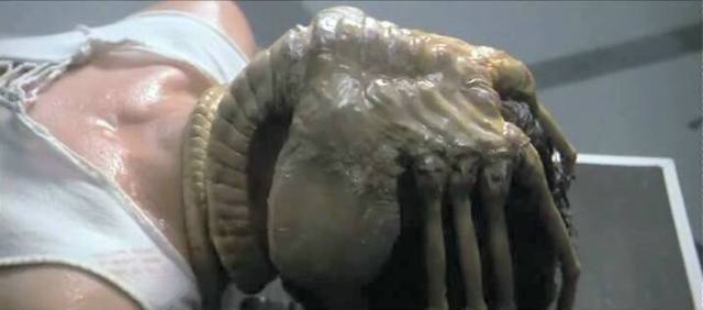 Alien_facehugger
