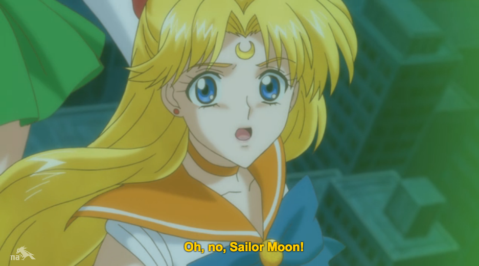 Old Sailor Moon Magnet Venus