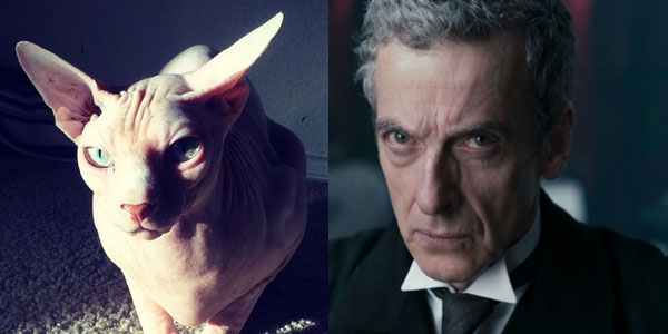 peter-capaldi-cats-02