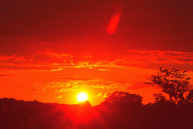 14844379384_98cbb6f163_z