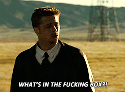 Brad-Pitt-Needs-To-Know-Whats-In-The-Box-In-Sevens-Dramatic-Final-Scene-Gif