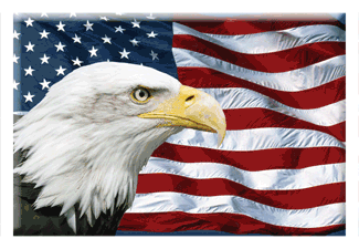 eaglegif2