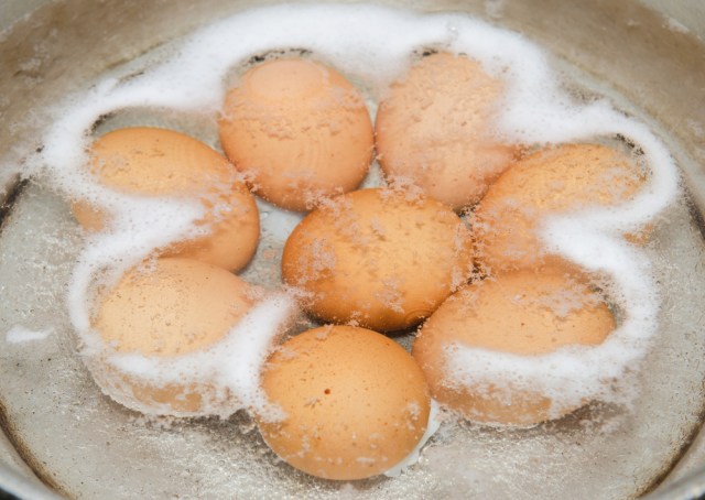 shutterstock_246373663