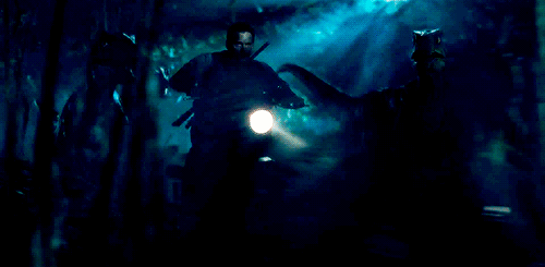 tumblr_nhm2s8OaF91tu1ckro4_500