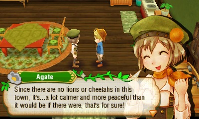 Story of Seasons - Agate