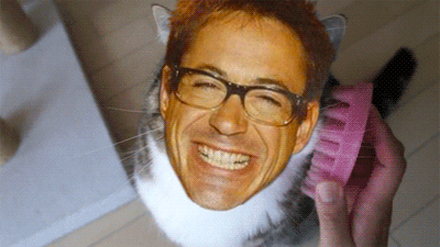 rdj_cat_brush
