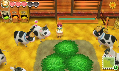 Story of Seasons - Cows