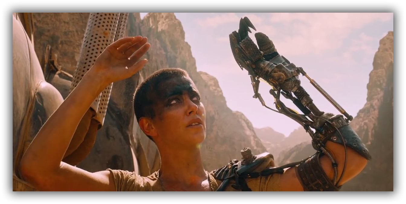 Rafflesia Arnoldi Blind diamant My Reaction to Mad Max: Fury Road and the Utter Perfection That Is  Imperator Furiosa | The Mary Sue
