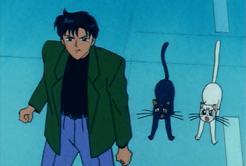 tumblr_inline_nim1t8SQb81sdgkr8