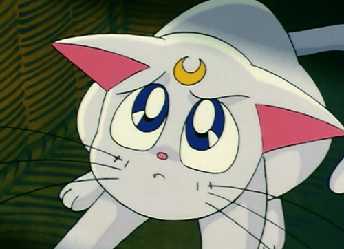 tumblr_inline_nj001tvg1q1sdgkr8