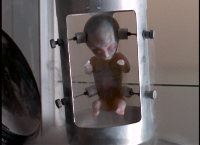 That's actually quite cute