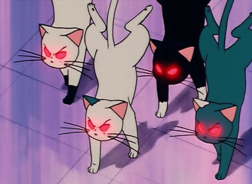 tumblr_inline_njoy2nc7lN1sdgkr8