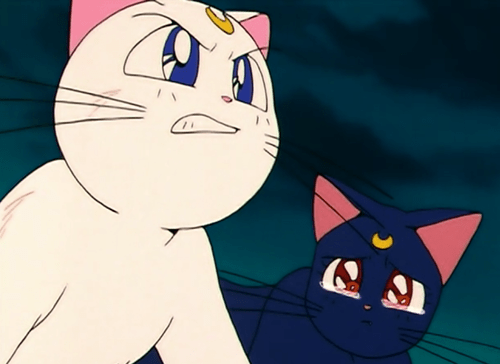 tumblr_inline_njoy4tIRfD1sdgkr8