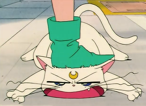 tumblr_inline_njoys4KPUI1sdgkr8