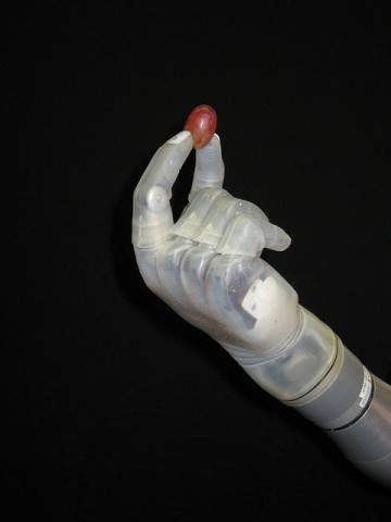 7039316445_ae3c1f334f_z