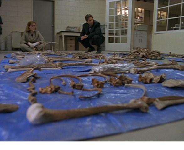 All I got left is my bones