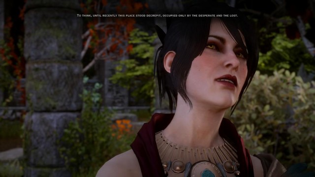 DAI Entry 15 Image Six