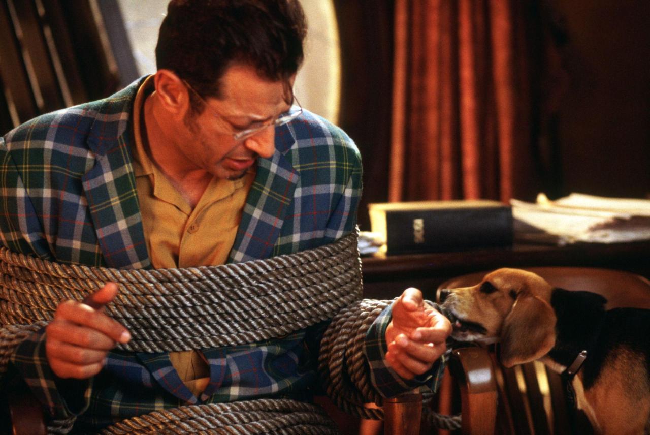 still-of-jeff-goldblum-in-cats-&-dogs-(2001)-large-picture