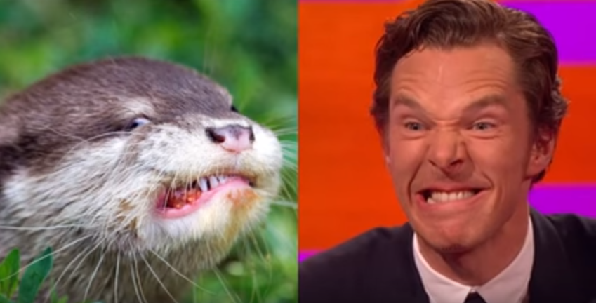 Benedict Cumberbatch Embraces His Inner Otter | The Mary Sue
