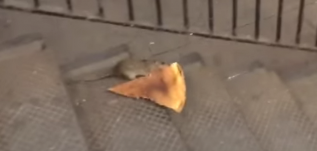 Screen Shot 2015-12-23 at 12.50.38 PM