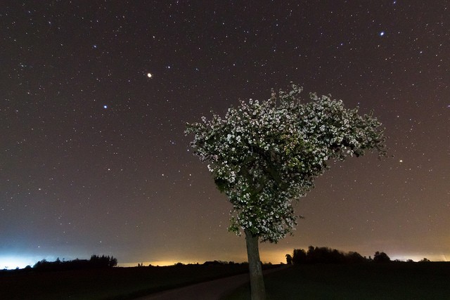 13937277846_2677038c23_z