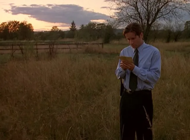 Mulder in the field