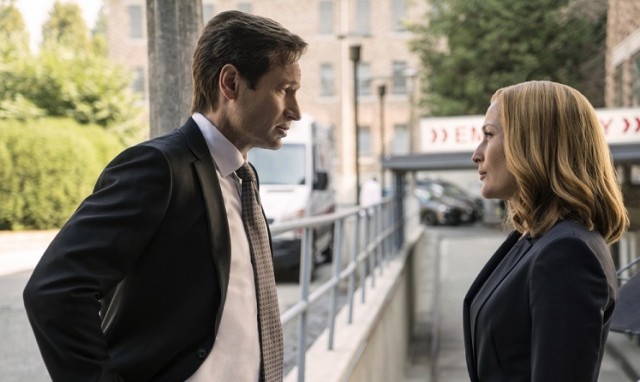 [brief pic description]