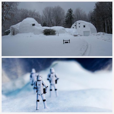 hothhouse