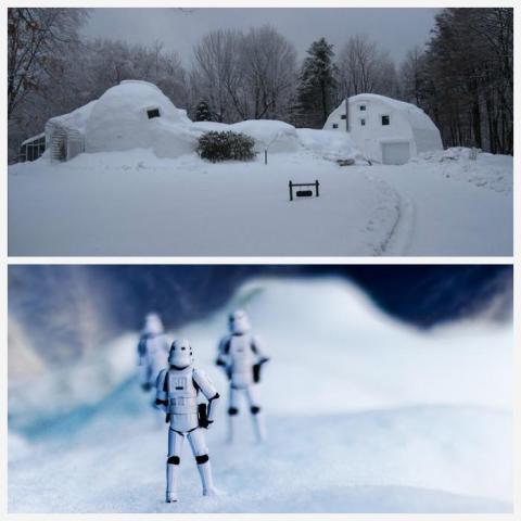 hothhouse
