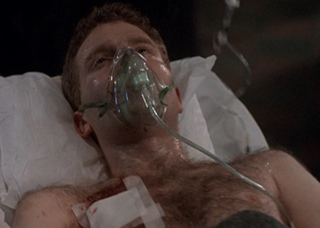 Farewell brave soldier