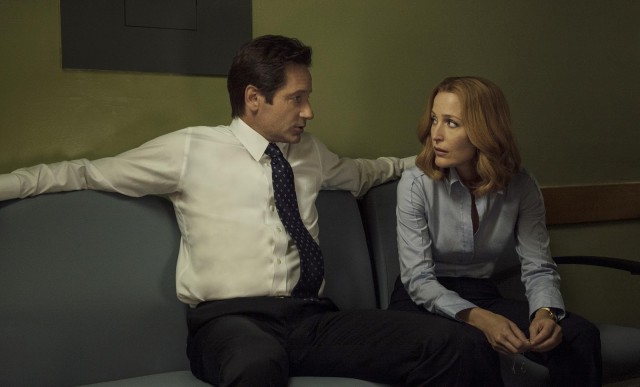 [brief pic description]