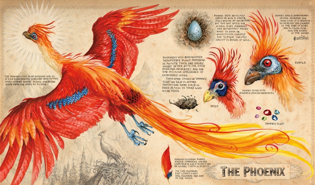 The phoenix from Harry Potter