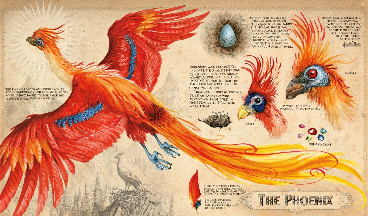 The phoenix from Harry Potter 