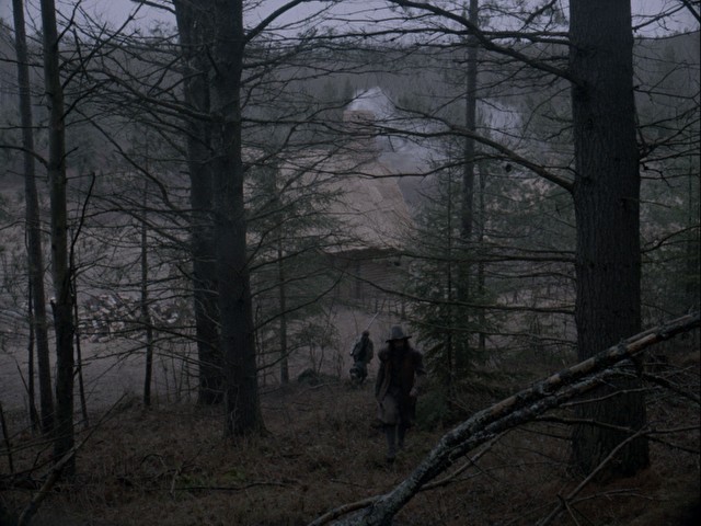 dark woods in the movie the witch