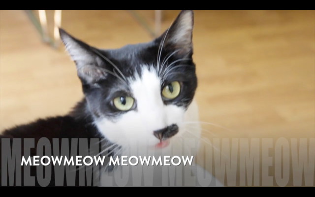 Screen Shot 2016-04-28 at 7.44.29 AM