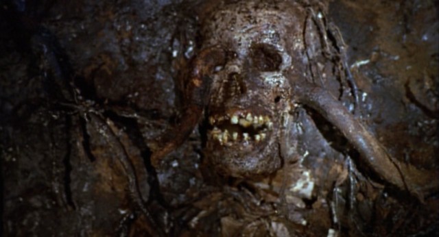 Talk about putting down roots indeed