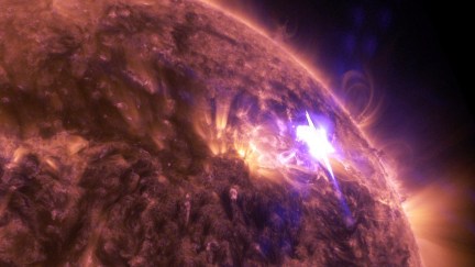 solar flare image
