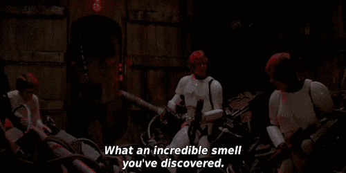 tumblr_njvqbssG4S1sl21koo1_500