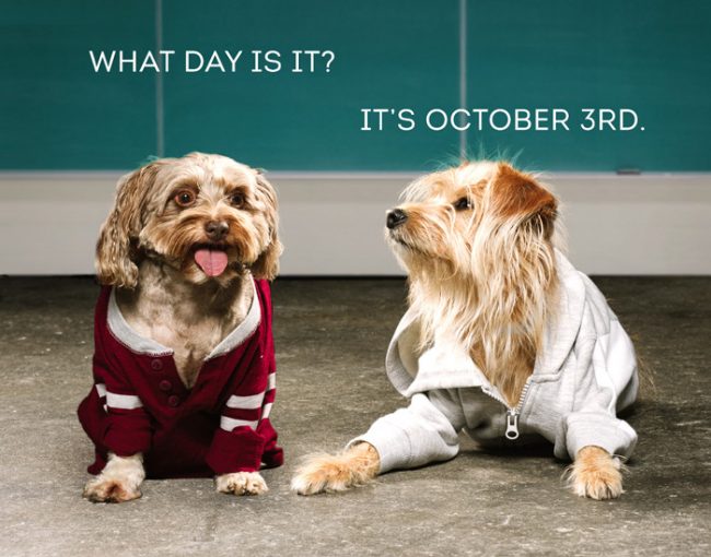 mean-girls-dogs-october-3rd