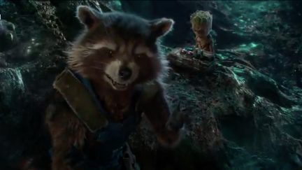 Rocket Raccoon and Baby Groot