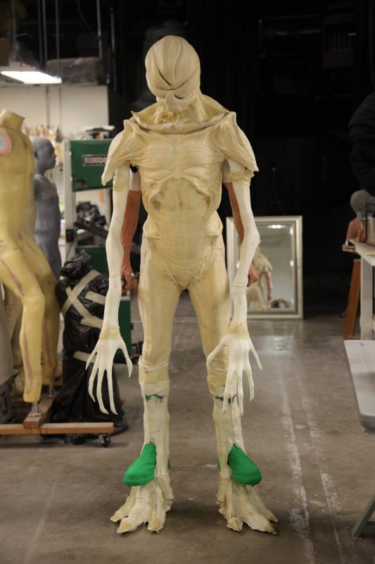 15724784_1199204276841375_8281673598388836340_o