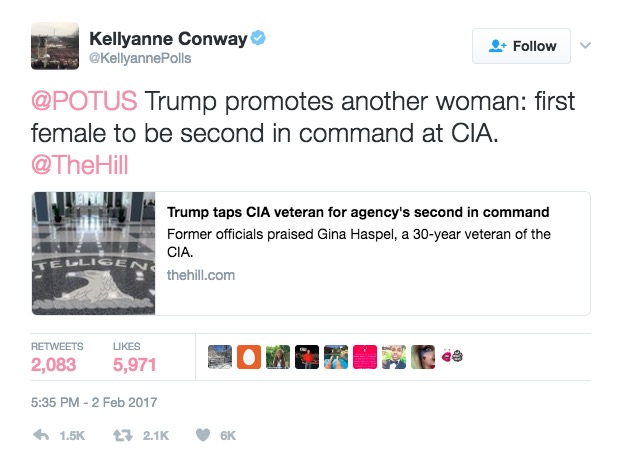 Screen Shot 2017-02-03 at 10.36.43 AM