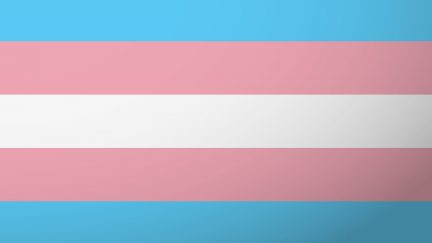 image: Shutterstock Trans pride flag