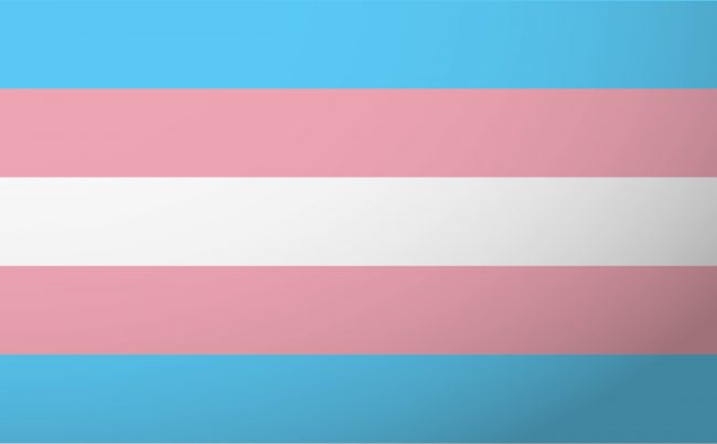 Trans-Flag