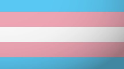 image: Shutterstock Trans pride flag