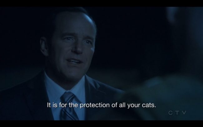 aos s4e14 coulson cats