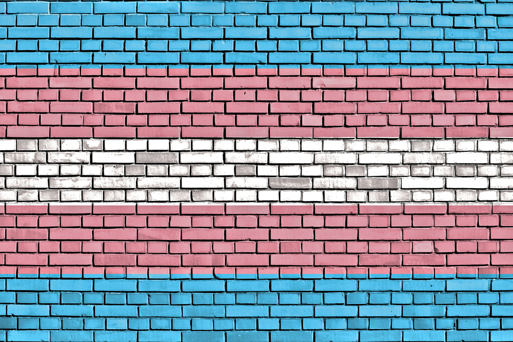trans flag wall