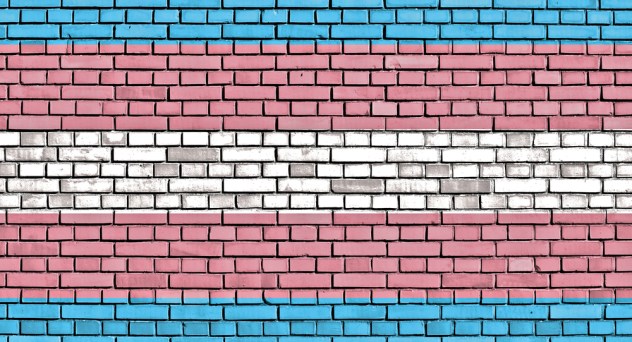 trans flag wall