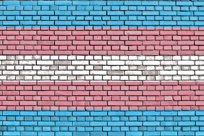 trans-pride-flag-wall